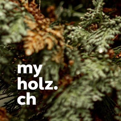 Heutiges Türchen öffnen Nahaufnahme von Tannenzweigen mit der Aufschrift 'Heutiges Türchen öffnen' und 'myholz.ch'.