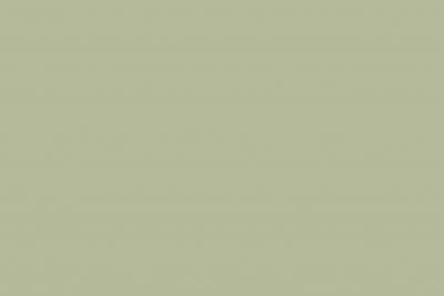 Kaindl Colourline Classic Uni E1 CARB Melaminharzbeschichtet MDF 22458 MN Avocado Green (10/Pal.)